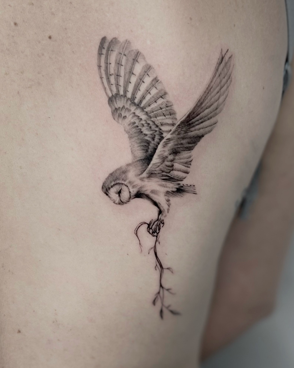 barn owl tattoo microrealism