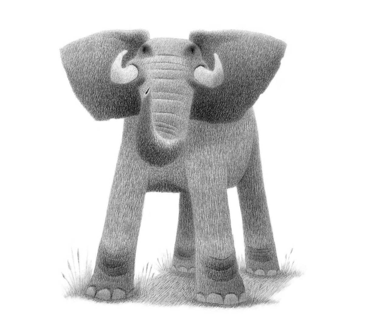 charcoal art elephant