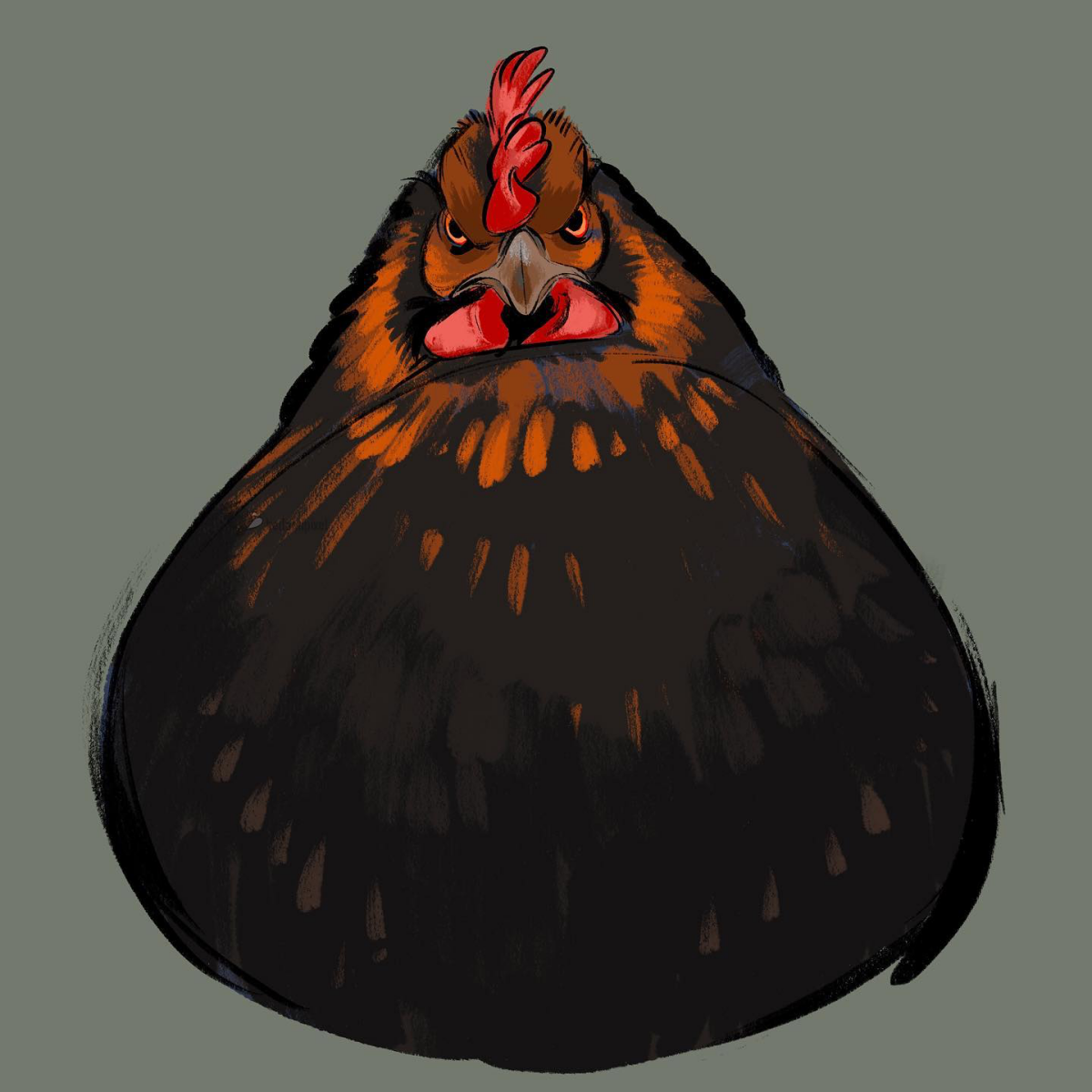 chicken drawing angry chicken