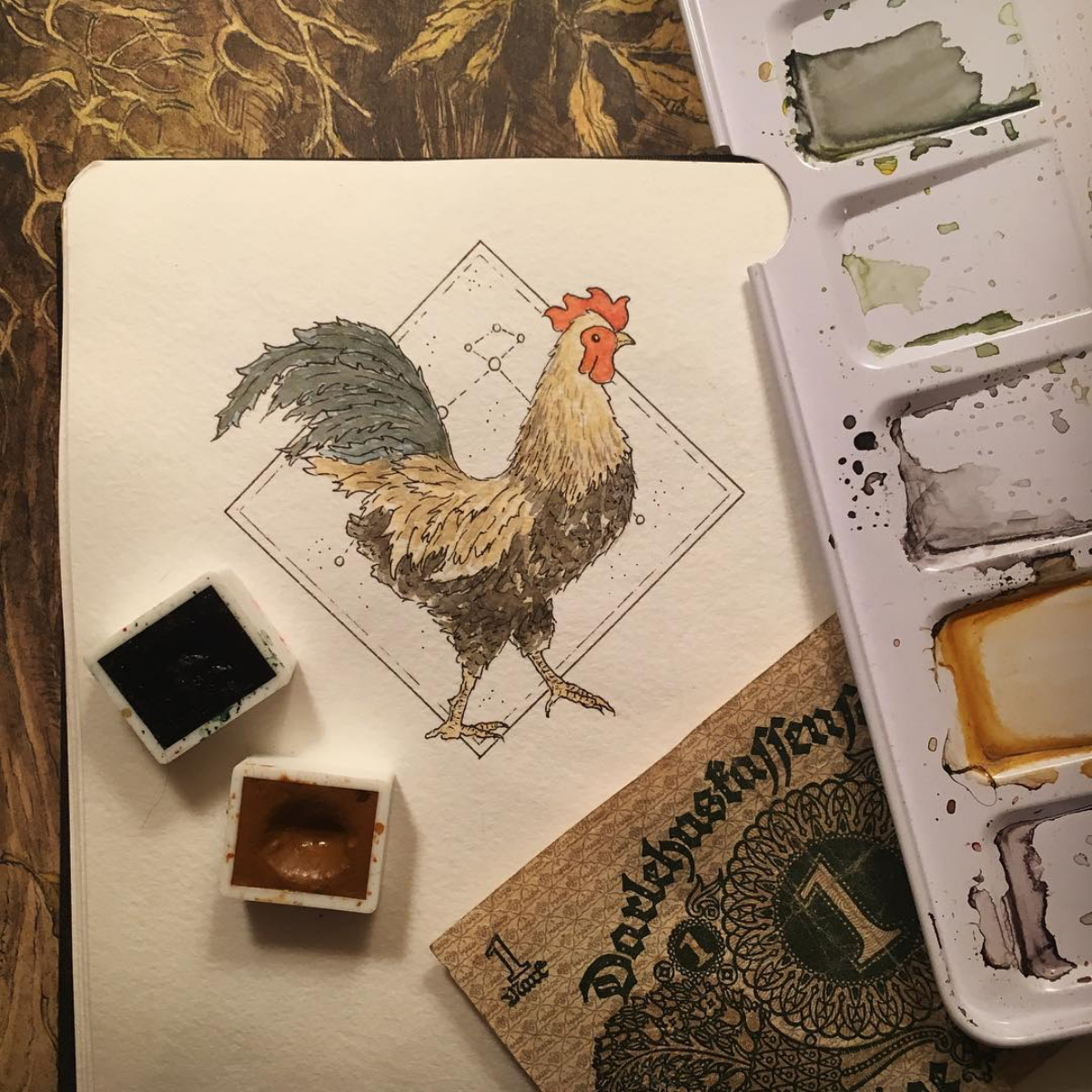 chicken drawing with watercolor