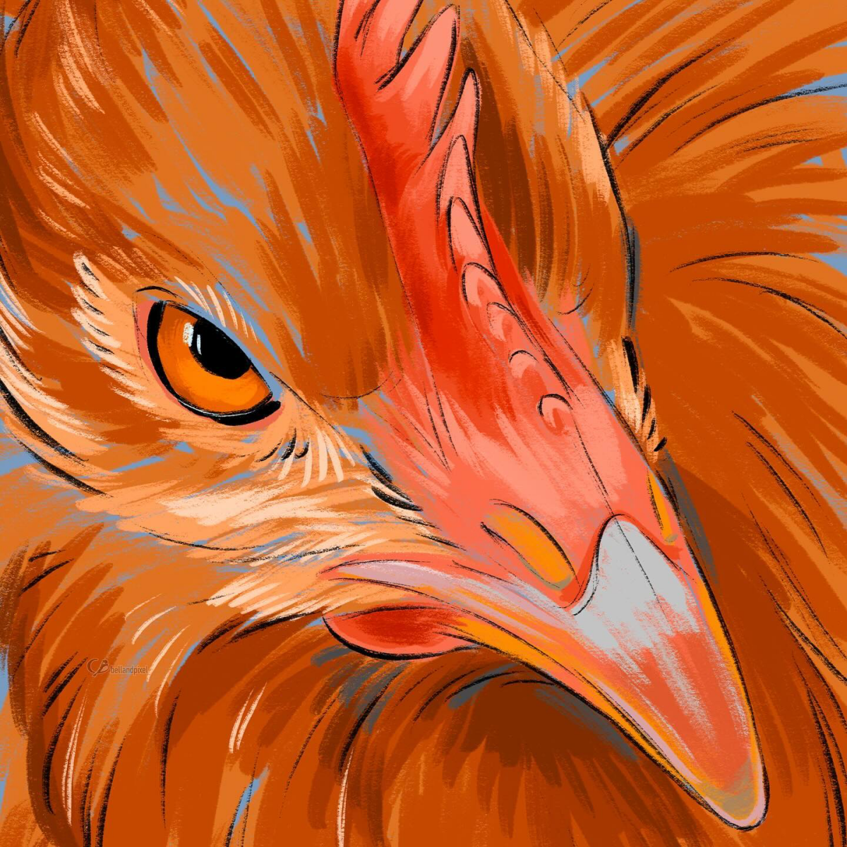 chicken realistic colorful drawing