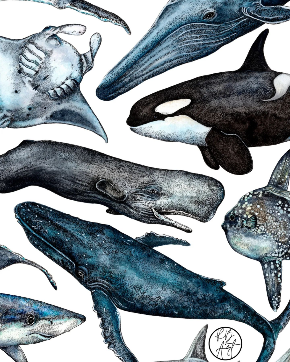 different whale drawings