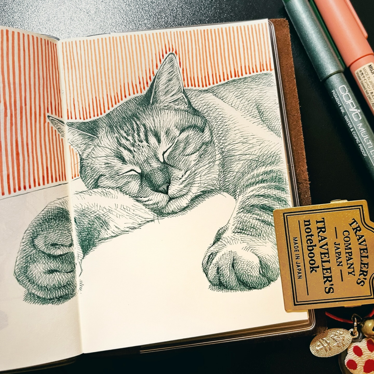 drawing of cat sleeping