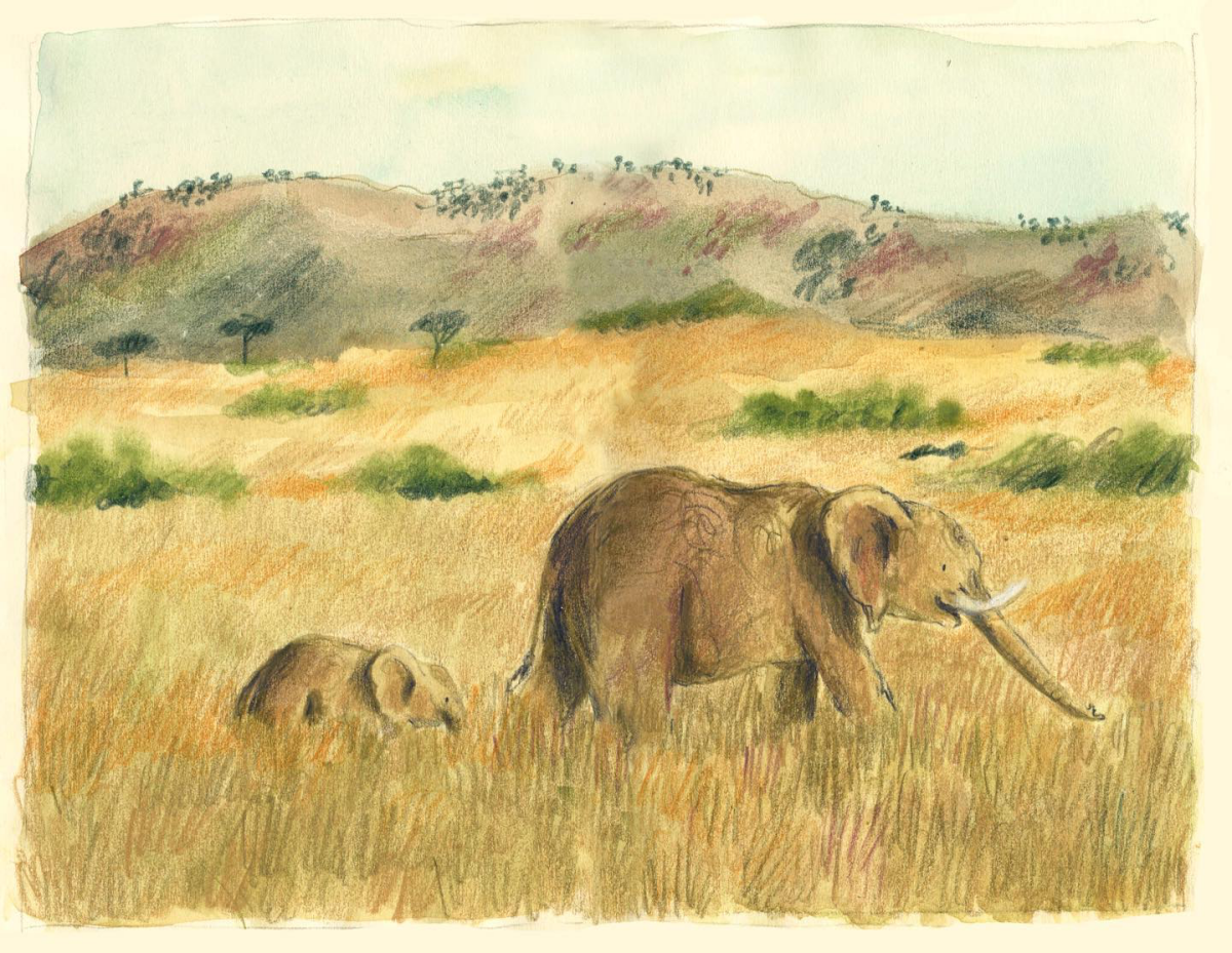 elephants walking in the savannah art