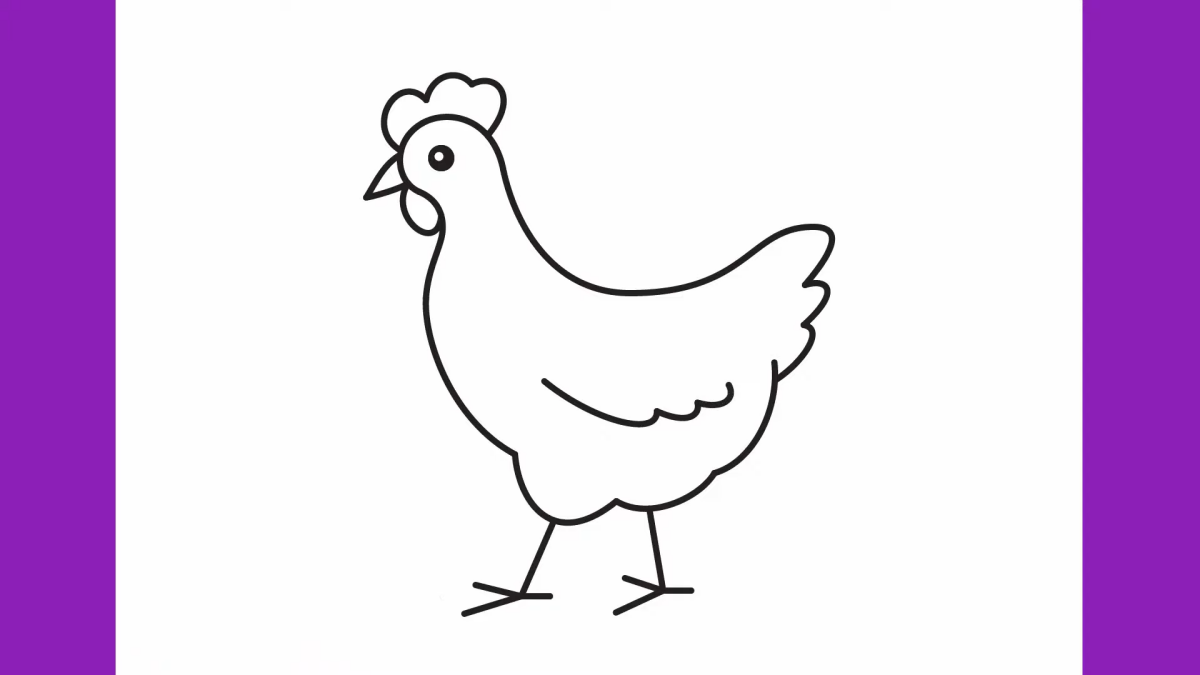 how to draw a chicken full chicken drawing