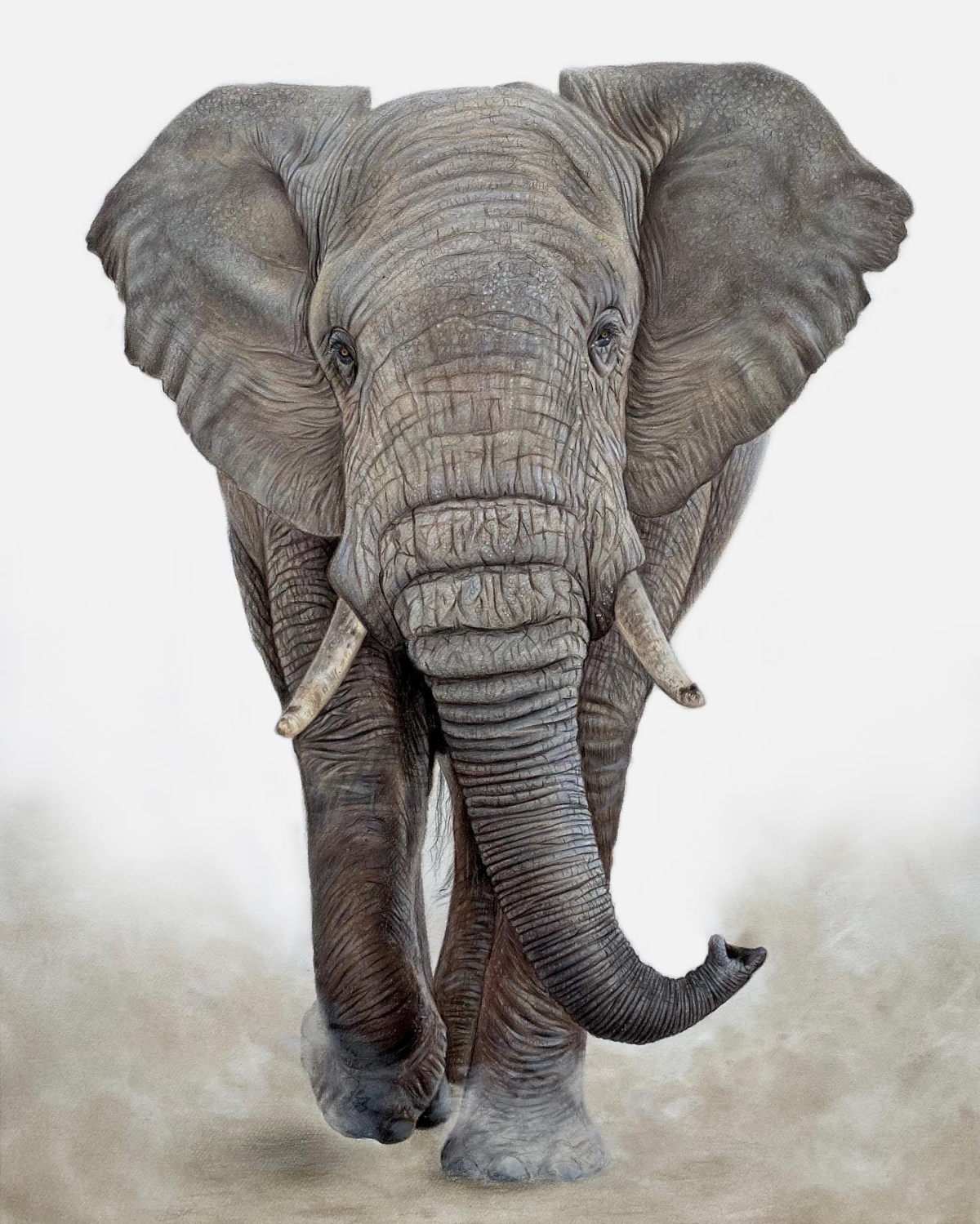 hyperrealistic drawing of an elephant