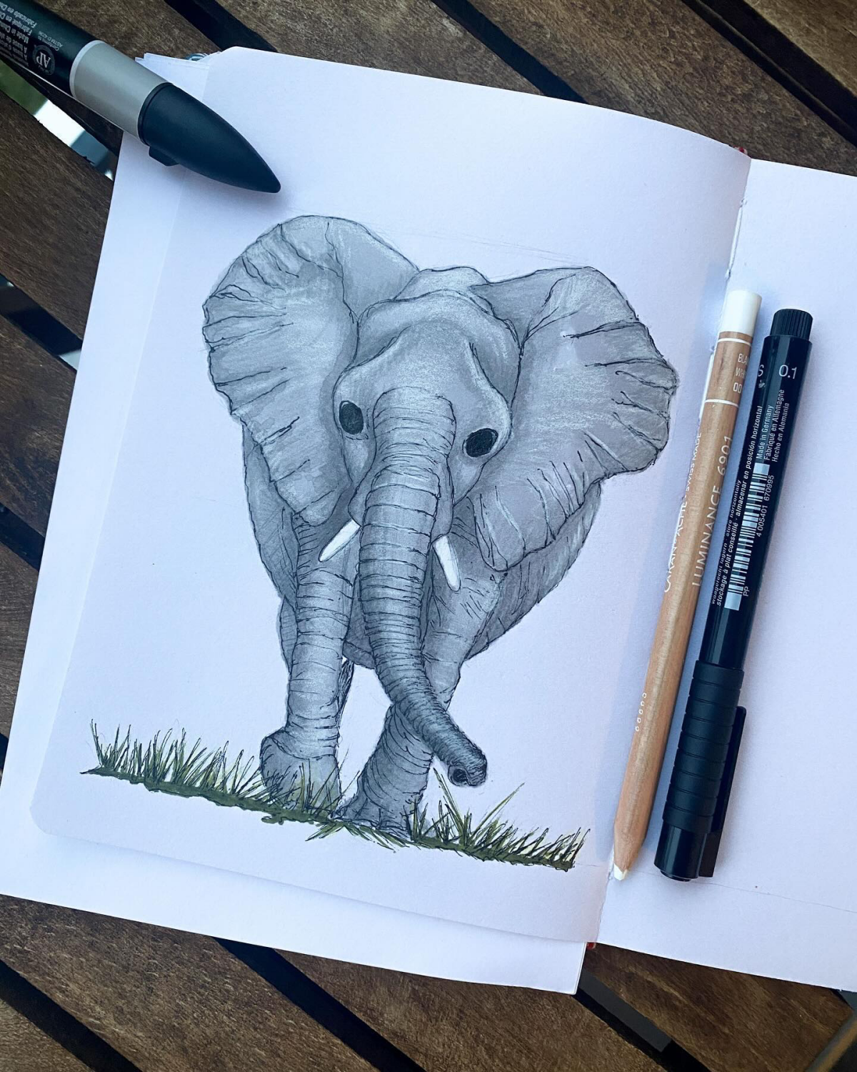 marker drawing of an elephant