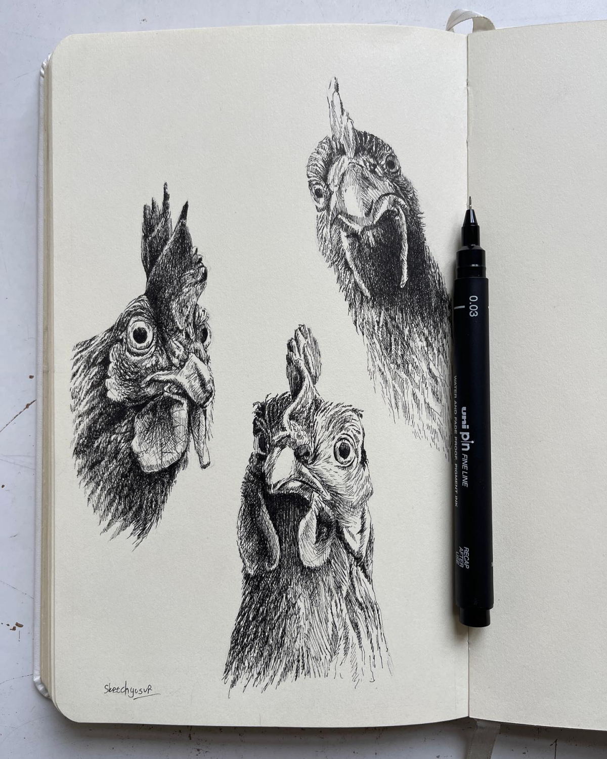 realistic chicken drawing