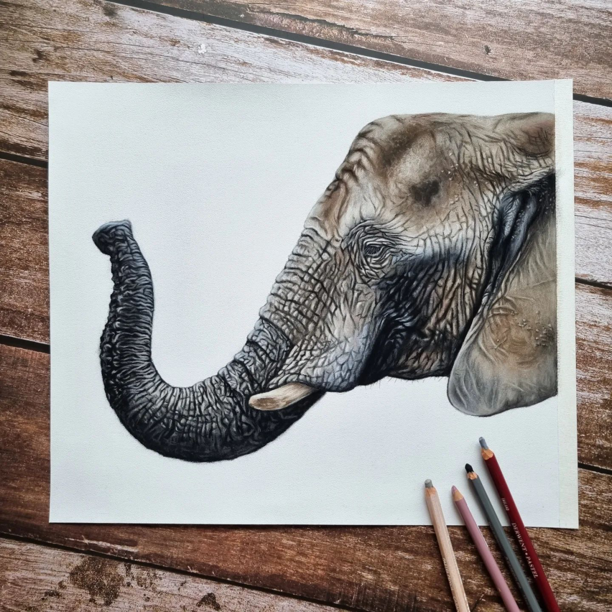 realistic elephant head