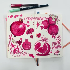 stuff to draw pomegranate drawings