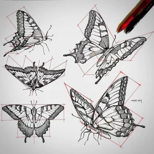 butterfly drawings sketching