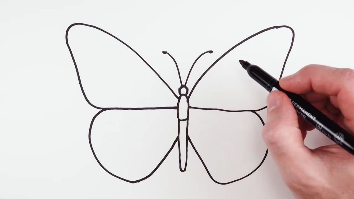 butterfly wing drawing