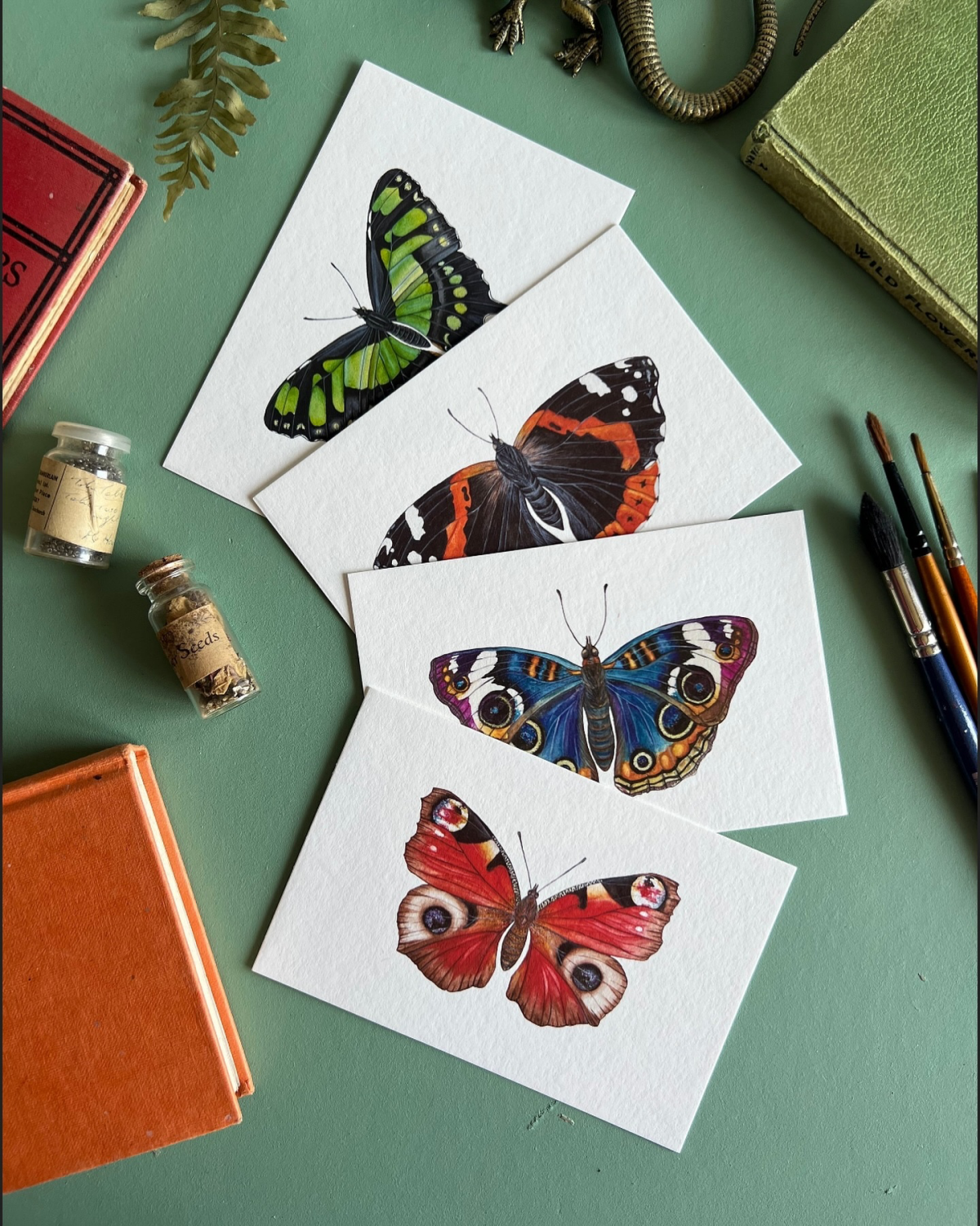 different types of butterfly drawings