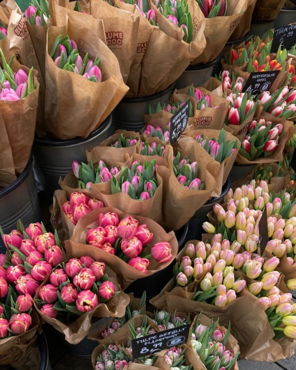 flower market with different flowers