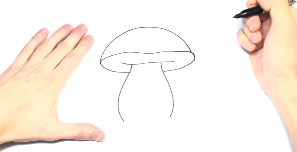 mushroom body drawing