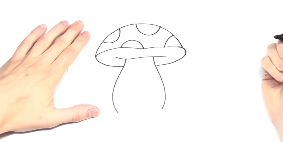 mushroom drawing details