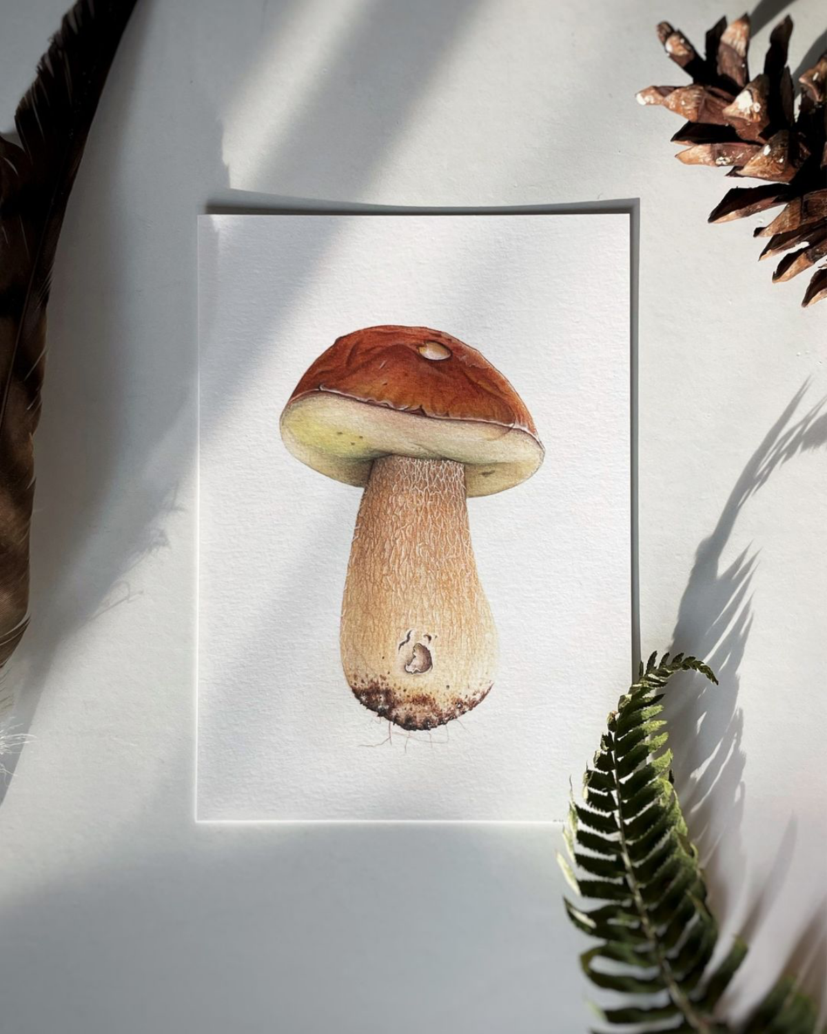 realistic drawing of a mushroom
