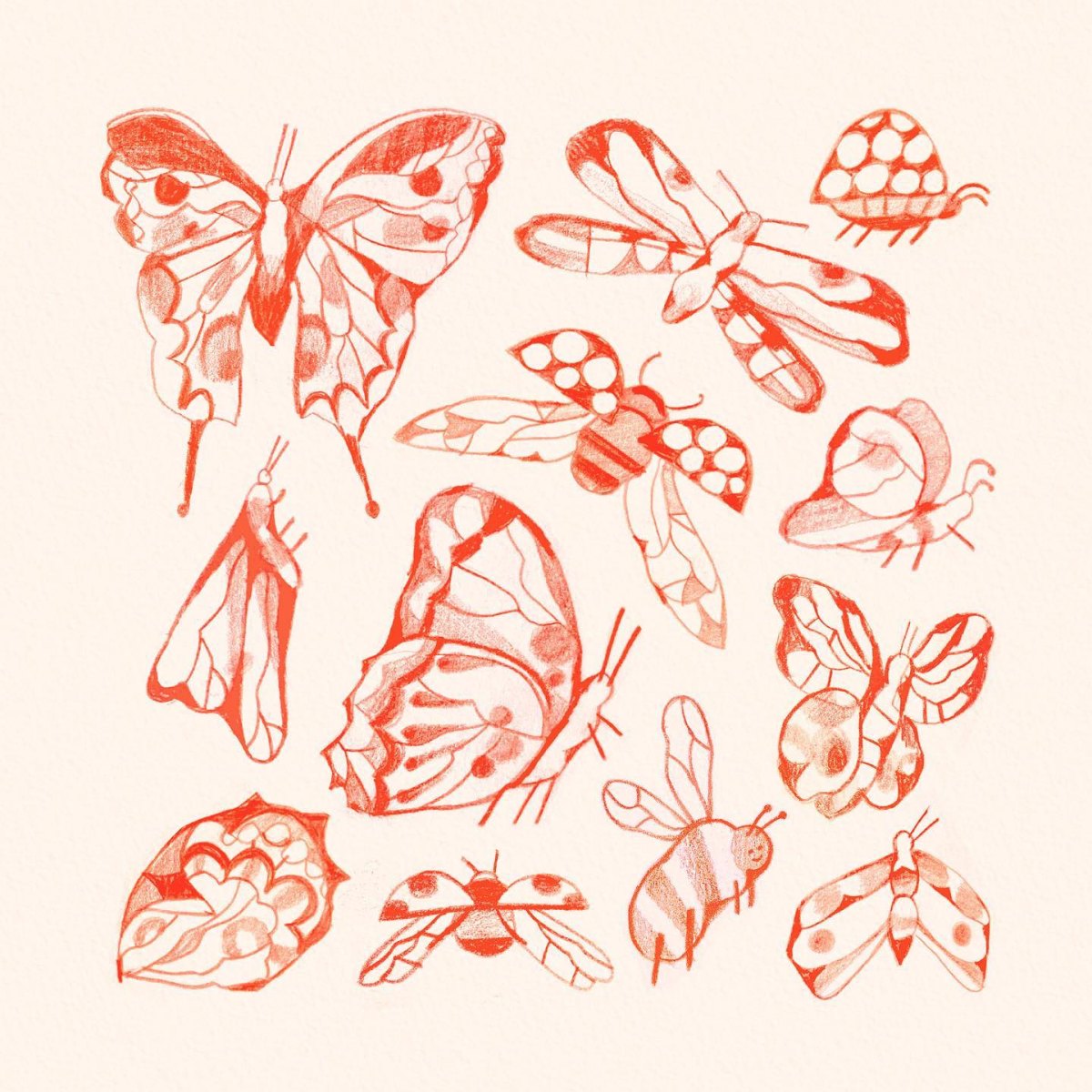 sketches of butterflies