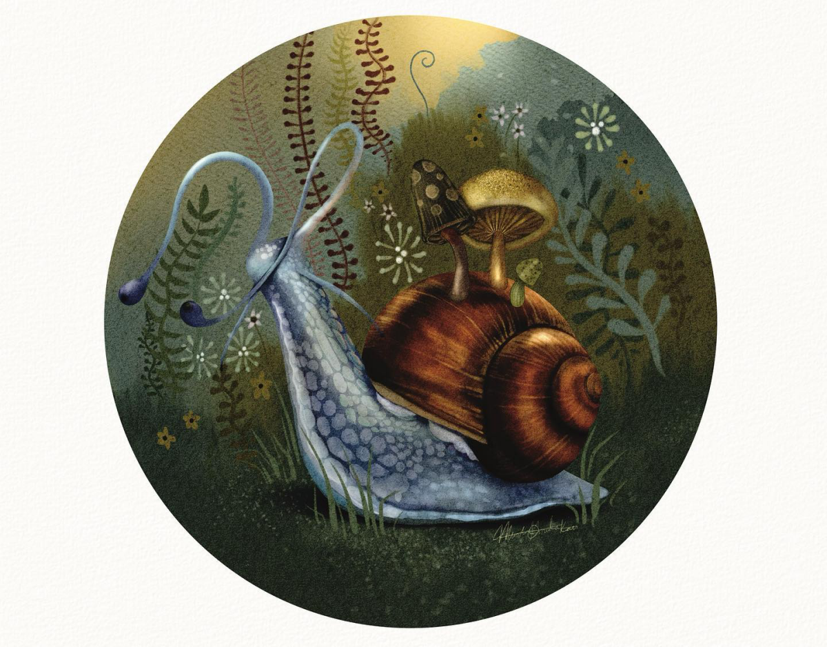 snail drawing mystical fairy like drawing