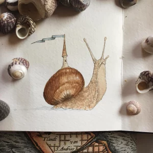 snail drawing snail with tower on shell