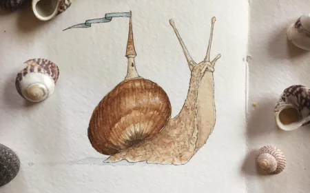 snail drawing snail with tower on shell