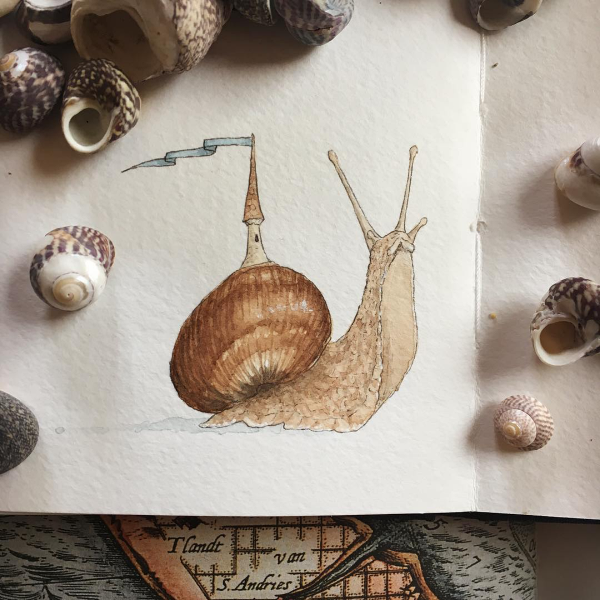 Master The Art Of Snail Drawing: An Easy Guide For Beginners