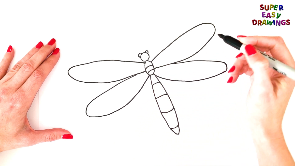 how to draw a dragonfly wing on the dragonfly