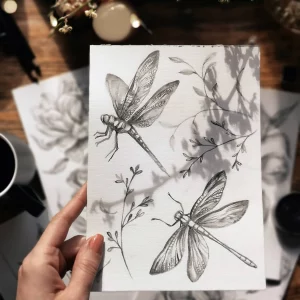 dragonfly drawing dragonflies on paper