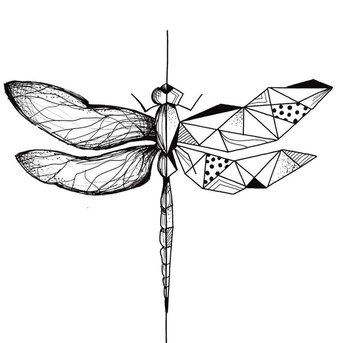 dragonfly drawing geometric shapes