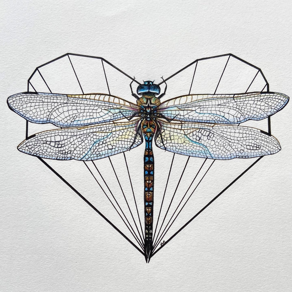 dragonfly in a heart