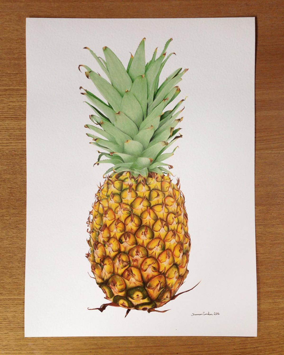 realistic drawing of a pineapple