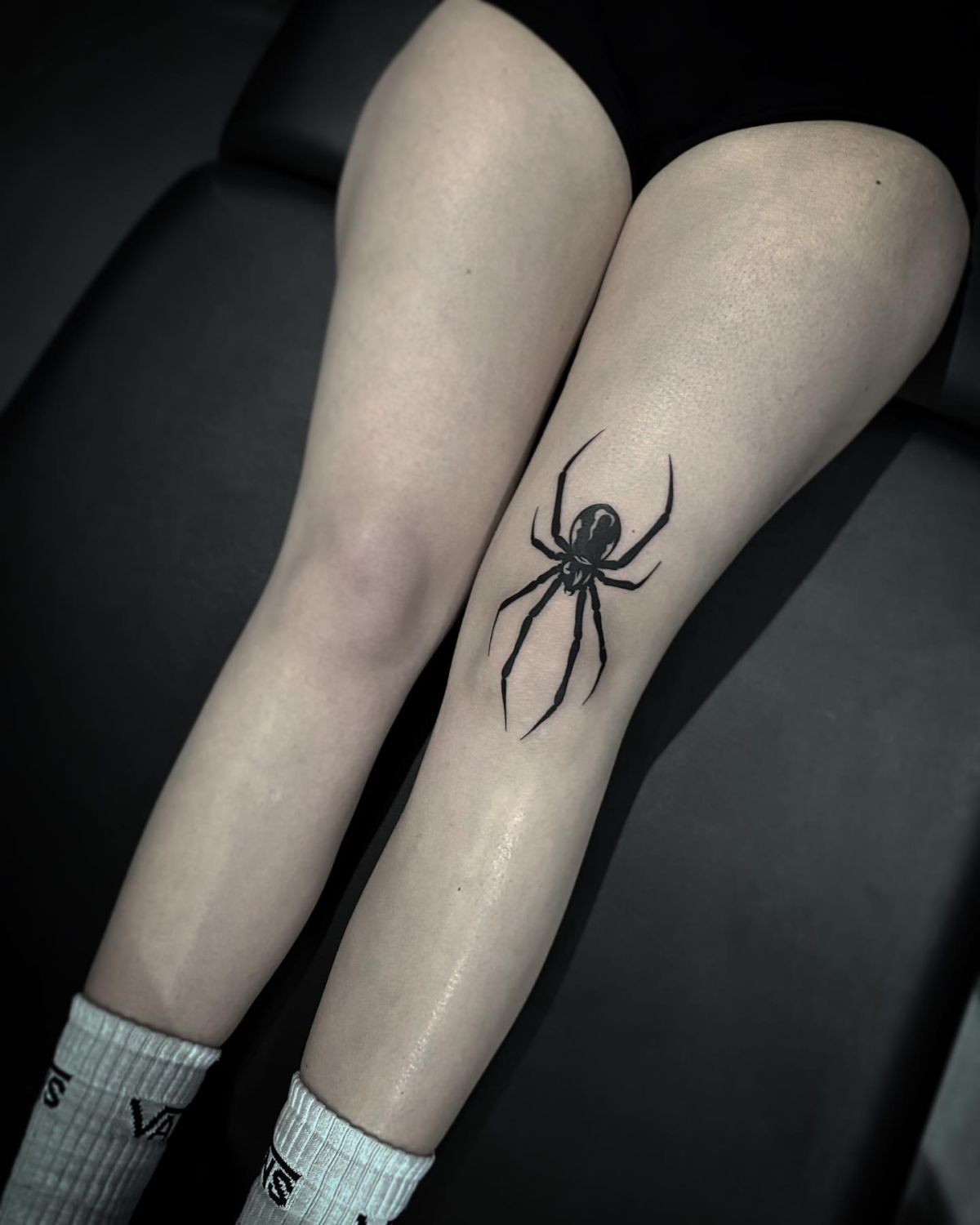 spider on knee